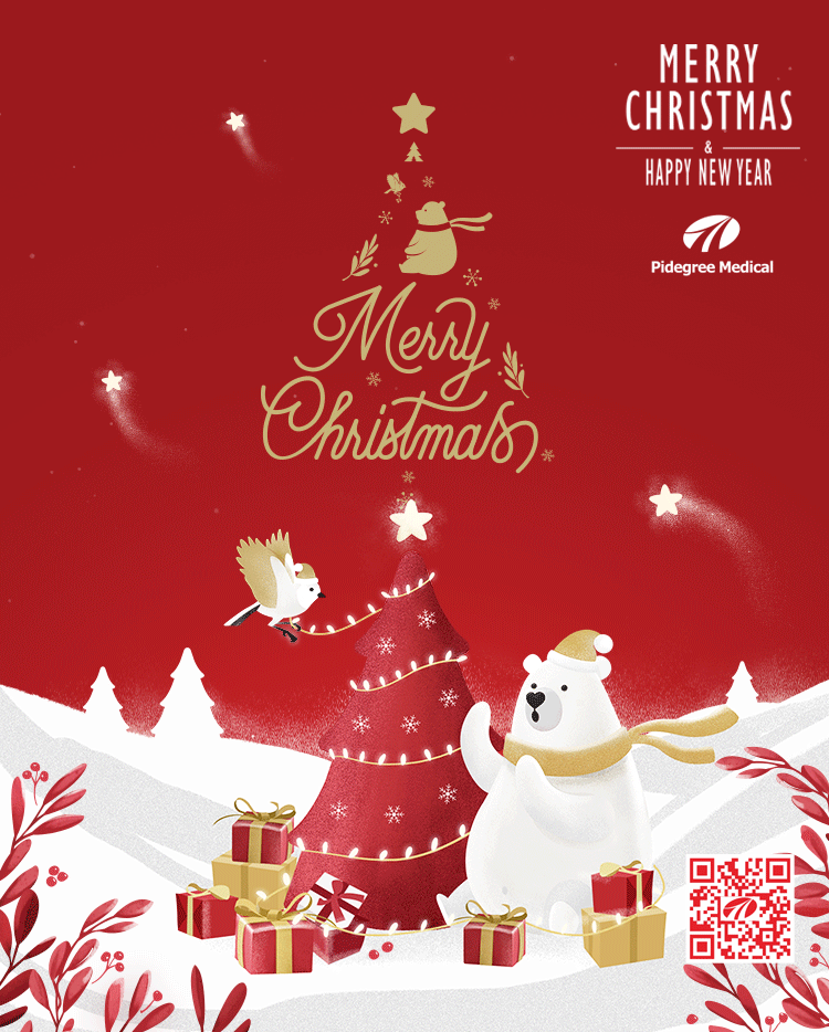 Feliz Navidad a todos ustedes!