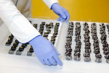 Use guantes de comida correctos en el procesamiento de alimentos